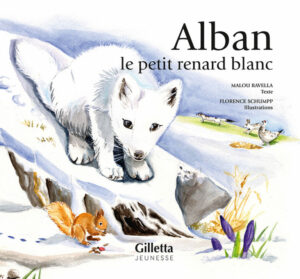 Alban le petit renard blanc