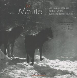 La Meute – Les loups échappés du Parc Alpha suite à la tempête Alex