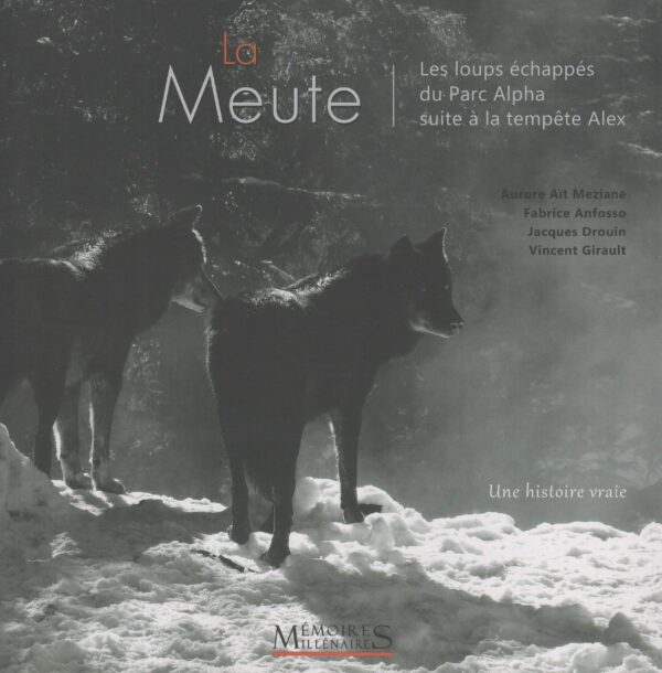 La Meute – Les loups échappés du Parc Alpha suite à la tempête Alex